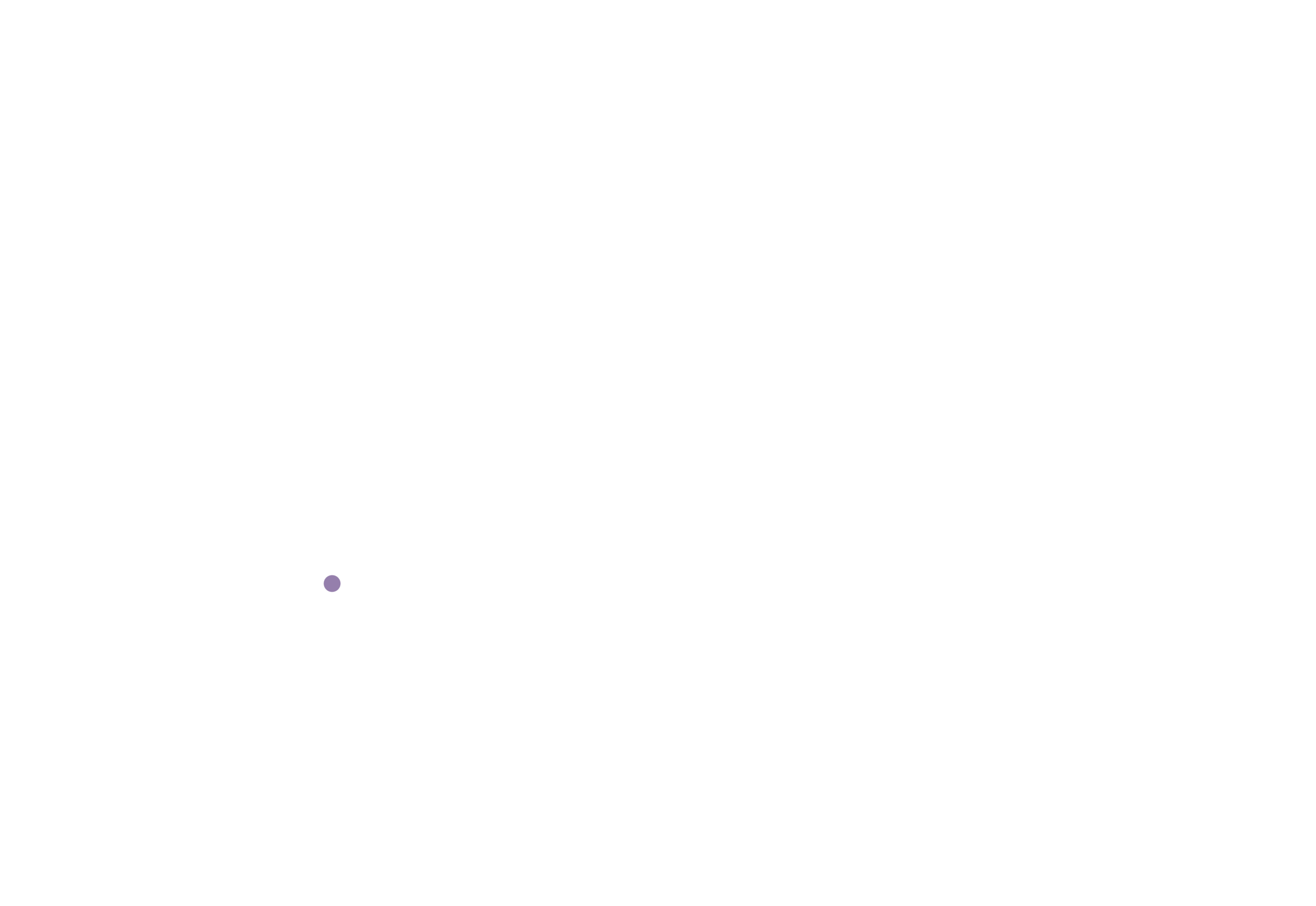 IDIO JAPAN ASSOCIATION